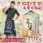 兵庫県産 きぬむすめ10kg お米 白米 玉田商店