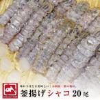 ムキシャコ 釜茹でシャコ 20尾 シャコエビ/ガサエビ/ボイル