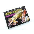 名光通信社 ルアーニュース増刊　イカゲー