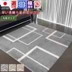 最終価格 アース防ダニ ラグ 絨毯 2畳 カーペット ラグマット 丸巻き 日本製 抗菌 防臭 厚手 当社在庫 (廃番ウェイビー) 約2畳 190×190cm