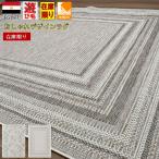 ショッピング処分 在庫処分 ダイニングラグ 200×250 約 3畳 ラグ カーペット リビング ダイニング 薄手 ナチュラル シンプル モダン 春 夏 当社在庫 (ダイニング 200×250cm)