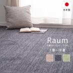 カーペット 8畳 八畳 絨毯 じゅうたん ペットの爪も安心 国産 無地 シンプル 平織 折り畳み NEW ラウム 江戸間 8畳 352×352cm