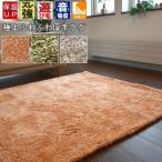 ラグ ふわふわ シャギーラグ フワフワ 160cm 円形 丸形 丸 正円 カーペット 絨毯 ラグマット おしゃれ かわいい   TOHO (メルティ160cm)  直径160cm