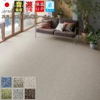防音カーペット 4.5畳 防音特級 LL-35 じゅうたん 絨毯 スミノエ 防ダニ 丸巻き 厚手 SUMINOE(サウンドルベリー4.5畳) 江戸間 4.5畳 261×261cm