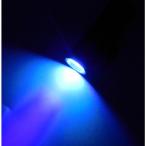 UV LED свет черный Kei пятно. . свет . с ремешком (MT4)