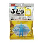 大丸本舗 塩クエン酸入ぶどう糖 25粒