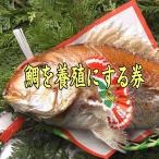 [ одиночный . покупка не возможно товар ] Ehime. .. подлинный морской лещ . модификация делать талон 3 листов покупка . морской лещ. размер .[2 раз ]. Ehime. . морской лещ . модификация возможность. комплект вместе с . покупка пожалуйста.