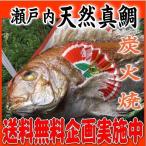 お食い初め 鯛 明石 淡路 瀬戸内 の 天然真鯛 1.7kgアップ を炭火でじっくり、焼鯛 に 祝い鯛に最適な 尾頭付き鯛 の 焼き鯛