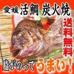 お食い初め 鯛 愛媛 の 活 真鯛 １．２kg を炭火でじっくり、焼鯛 に 祝い鯛に最適な 尾頭付き鯛 の 焼き鯛