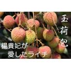  Taiwan производство шар груз .laichi3kg{6 месяц первая декада ... доставка }