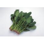 ( запад Япония производство ( Kinki, др. )) природа сельское хозяйство закон кроме того, специальный культивирование шпинат 1 пачка ( примерно 150g)