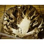 [ Chuubu район производство ] иметь машина кроме того, природа сельское хозяйство закон ....1 упаковка ( примерно 100g)