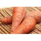 [ Hokkaido производство, запад Япония производство, кроме того, Chuubu район производство ] иметь машина кроме того, природа сельское хозяйство закон, кроме того, специальный культивирование морковь примерно 3kg