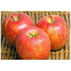 [A класса товар ..10kg] яблоко .. яблоко (A класса товар ) бамбук . иметь машина сельское хозяйство .. природа сельское хозяйство закон яблоко ..( примерно 10kg)* другой товар .. включение в покупку не возможно 