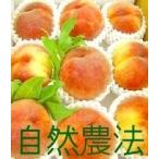 中沢さんの奇跡の桃約3kg送料無料...