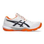 asics Asics гандбол обувь GEL-PEAKE 3 мужской STANDARD белый / черный 1113A057.100