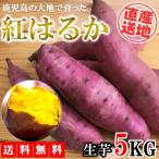 紅はるか さつまいも 5kg 送料無料 生芋 さつま芋 薩摩芋 焼きいも 焼き芋 芋 いも イモ 産地直送 鹿児島県産 FJK-000