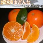 愛媛まどんな4.5kg〜5Kgわけあり家庭用