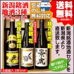 御中元お祝いギフトプレゼント日本酒...