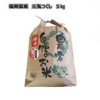 九州産、農家直送　[ 元気つくし ] [ 5kg ] 令和7年産　福岡県産　農家直送 送料無料　新米