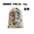 九州産、農家直送、玄米　[ 元気つくし ] [ 玄米 ] [ 5kg ]　令和7年産　福岡県産 農家直送 送料無料　新米