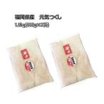 九州産、農家直送　[ 元気つくし ] [ 1.9kg (950g ×2袋) ] 令和7年産 福岡県産　ポイント消化 農家直送　送料無料　新米
