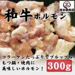 黒毛和牛ぷりぷり 生ホルモン ３００ｇ 焼肉 BBQ もつ鍋