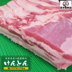 国産豚肉 バラブロック肉 1kg おいしい岐阜県産の豚肉 けんとん豚 真空  焼肉 炒め用 焼豚 煮豚 角煮