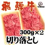 飛騨牛 切り落とし 300ｇ×2パック 牛肉 黒毛和牛 わけあり スライス 牛丼 炒め物 野菜炒め カレー 煮物 ブランド牛