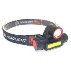 SW-20 двойной LED передняя фара максимальный свет пачка :300lm водонепроницаемый :IPX65