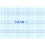 リンナイ 給排気筒トップ68S W WS300(20-5689)