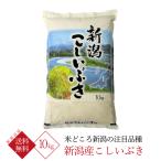 新潟県産こしいぶき10kgお米新潟...