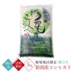 新潟県産 コシヒカリ（ 棚田米 ）（ 令和7年産 ） 5kg 【 送料無料 （新潟近県）】 お米 新潟 ご贈答 ギフト 贈り物 内祝 結婚