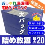 クリーニング 宅配 詰め放題 20点まで 仕上がり次第発送 衣替え 新生活 送料無料 シミ抜き   タカケン