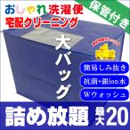 クリーニング 宅配 保管 詰め放題 20点まで 最大一年保管 衣替え 新生活 送料無料 シミ抜き   タカケン