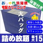 ショッピングラメ クリーニング 宅配 保管 詰め放題 15点まで 最大一年保管 衣替え 新生活 送料無料 シミ抜き   タカケン