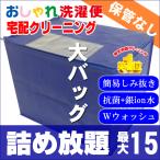 ショッピング浴衣 クリーニング 宅配 詰め放題 15点まで 仕上がり次第発送 衣替え 新生活 送料無料 シミ抜き   タカケン