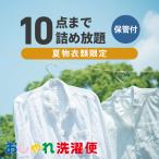 クリーニング 詰め放題 宅配 10点 クリーニング 保管 夏物限定 衣替え 新生活 タカケン ダブルウォッシュ 汗とり 宅配クリーニング7点 保管ありコース