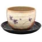 美濃焼 ゆったり碗 (茶托付) 小花 朱