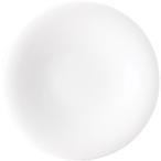 光洋陶器 中皿 白 17cm 5.0 皿 白虎柄 5