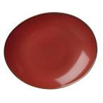 Luzerne (ルザーン) 中皿 クリムゾン 