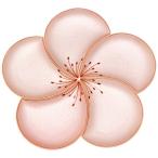 有田焼 幸楽窯 梅花びら 銘々皿 5枚