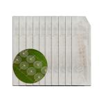  ушная раковина ювелирные изделия уголок tsubo наклейка ушная раковина наклейка уголок tsubo наклейка со стразами titanium наклейка только Sera 