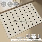珪藻土バスマット ソフト 速乾 珪藻土マット 風呂 浴室 洗える 吸水 速乾 滑り止め かわいい 大きいサイズ ノンアスベスト 柔らか 大判 おしゃれ バスマット