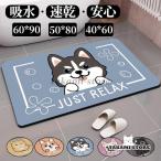 珪藻土バスマット 大判  風呂 足ふきマット 速乾 足拭きマット キッチンマット 珪藻土 滑り止め 浴室 洗面所 吸水 速乾 抗菌 滑り止め 北欧 脱衣所 吸水 ソフト