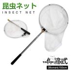  насекомое сеть сачок для бабочек насекомое коллекция насекомое брать .ami насекомое .. рыба брать ... эластичный тип настройка возможность легкий ребенок игрушка tool летние каникулы развлечение 