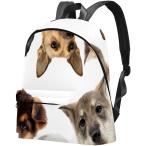 バックパックランドセルハイキングラップトップバックパッキング大容量とファッションアウトドアトラベルバッグビジネスバッグ猫犬