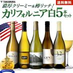 送料無料 第3弾 カリフォルニア 5本 