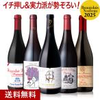 ★ 送料無料 イチ押し＆実力派が勢ぞろい！ベスト オブ ヌーヴォー5本セット[2025]（赤ワイン×5本）（追加7本まで同梱可） [N]
