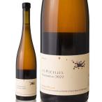 repyu cell ma Sera Zion [ 2022 ]dome-n Julien meie-( orange )[S]